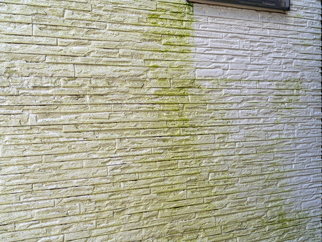 外壁・屋根のコケ・藻の例